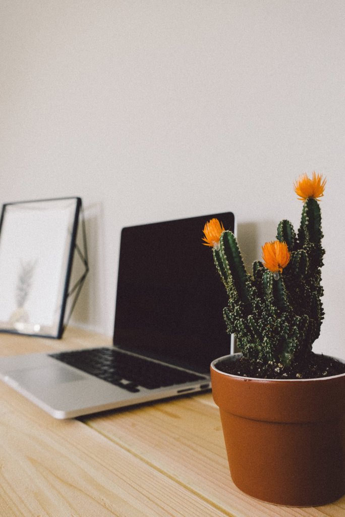 serv-03-desk.jpg